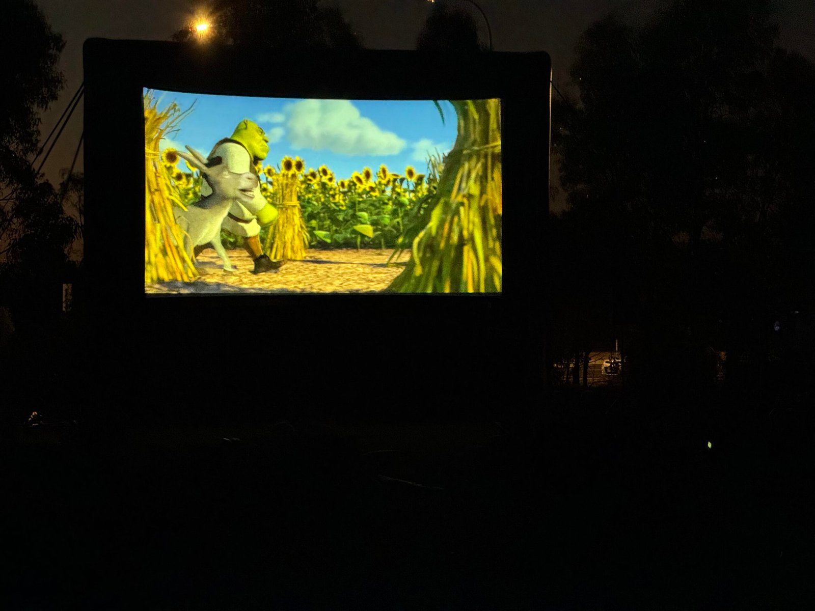 Vibrant Movie Nights Mandurah Outdoor Cinema Series Begins